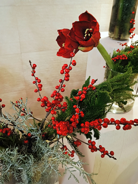 Estetica roşu-verde specifică Crăciunului