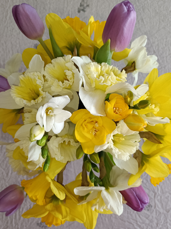 Buchetul lunii martie 2025