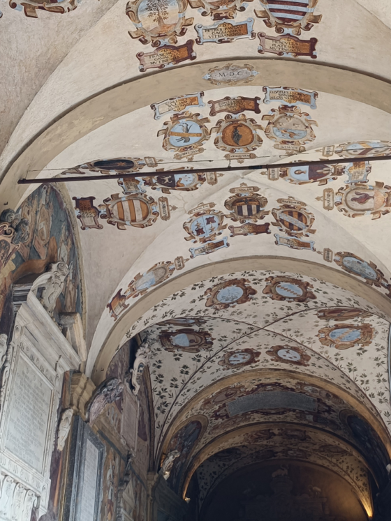 Stemele din Archiginnasio: heraldica unei Europe universitare