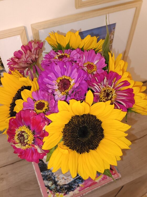 Buchetul lunii iulie 2025