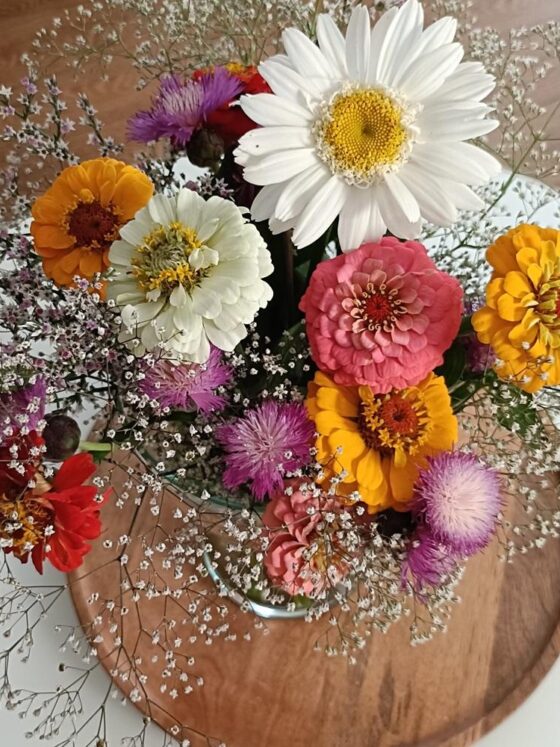 De ce să ai flori proaspete în vază în fiecare săptămână