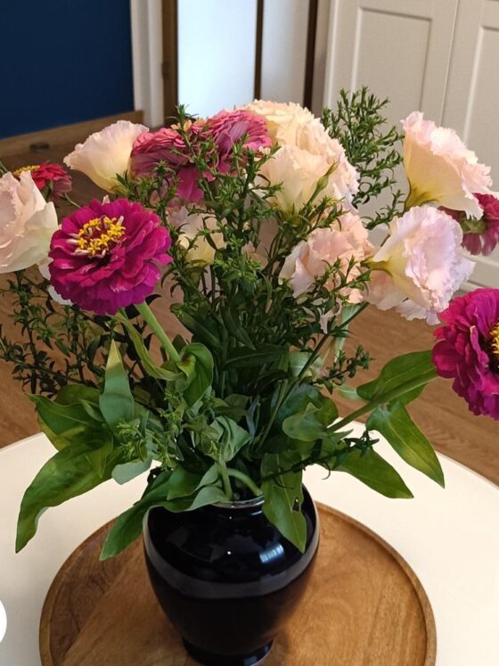 Buchetul lunii august 2025