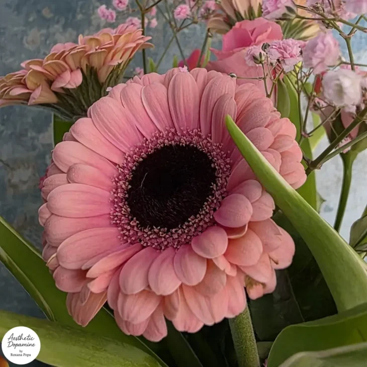 Buchet de flori cu gerbere roz