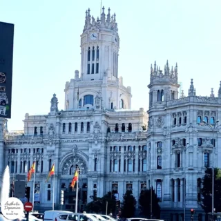 Buchetul lunii februarie 2026