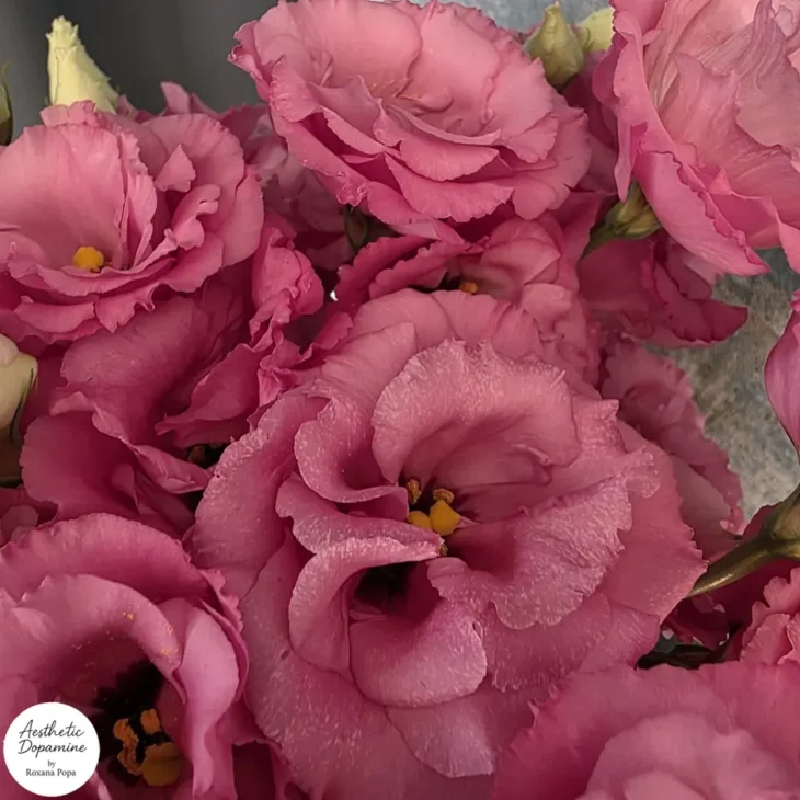 buchet lisianthus roz