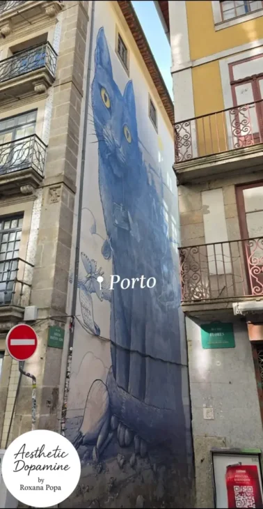 pictura murala Porto